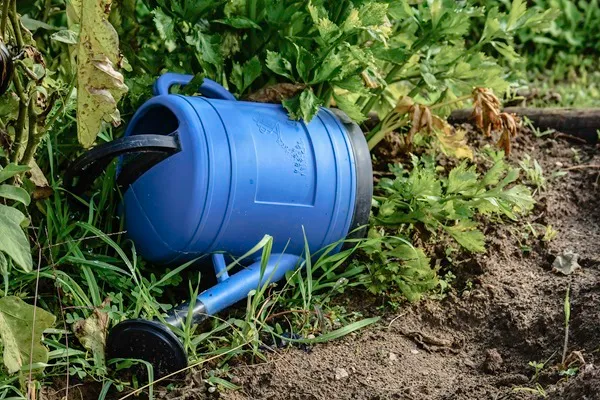 Wykorzystanie deszczówki